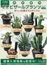 カインズホームのカタログ | 塊根植物フェア1010号 | 2026-10-09T00:00:00.000Z - 2026-10-31T00:00:00.000Z