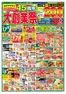 スターのカタログ | 掘り出し物ハンターのための素晴らしいオファー | 2026-10-16T00:00:00.000Z - 2026-10-19T00:00:00.000Z