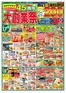 スターのカタログ | 私たちのお客様のための排他的な取引 | 2026-10-17T00:00:00.000Z - 2026-10-19T00:00:00.000Z