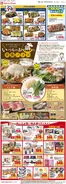 藤沢市でのフレルさぎ沼のカタログ | 2026/10/19WEBチラシ | 2026-10-18T00:00:00.000Z - 2026-10-22T00:00:00.000Z