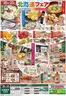 札幌市での北雄ラッキーのカタログ | Luck261020hana | 2026-10-20T00:00:00.000Z - 2026-10-27T00:00:00.000Z