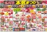 オータニのカタログ | 本気まつり お得な日替わり4日間 | 2026-10-22T00:00:00.000Z - 2026-10-26T00:00:00.000Z