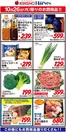 大阪市でのハーベスのカタログ | 10/26限りのお買得品! | 2026-10-25T00:00:00.000Z - 2026-10-26T00:00:00.000Z