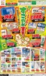 小野市でのジャパンのカタログ | ジャパン チラシ | 2026-10-20T00:00:00.000Z - 2026-10-26T00:00:00.000Z