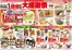 オギノのカタログ | すべての掘り出し物ハンターのためのトップオファー | 2026-10-28T00:00:00.000Z - 2026-11-01T00:00:00.000Z