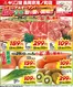 キリン堂のカタログ | 私たちの最高の掘り出し物 | 2026-10-29T00:00:00.000Z - 2026-11-01T00:00:00.000Z