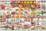 雲南市でのマルイチのカタログ | 大感謝祭！ | 2026-10-30T00:00:00.000Z - 2026-11-02T00:00:00.000Z