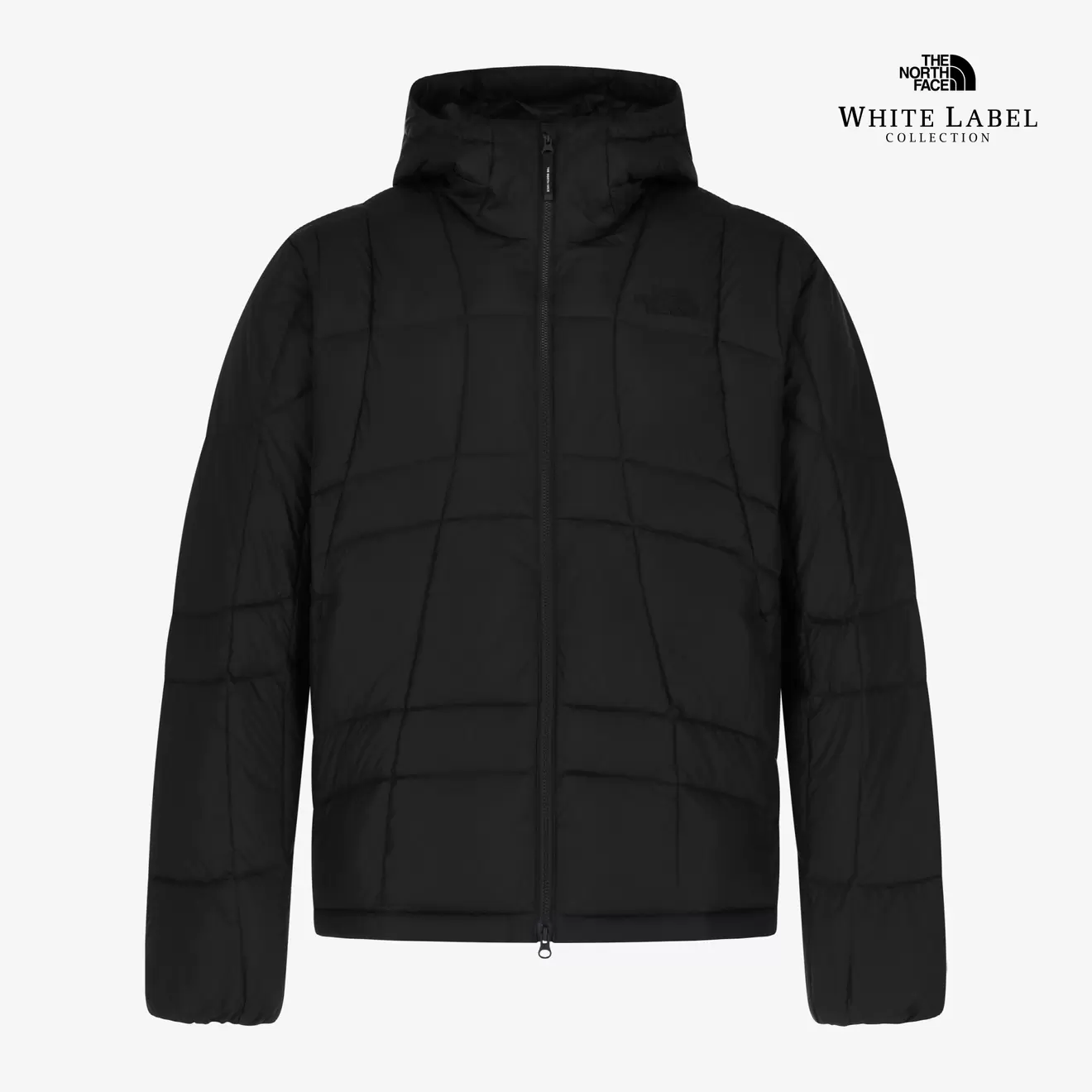 WAVE LT ON JACKET