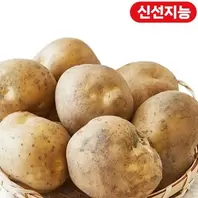 감자 (1.5KG)