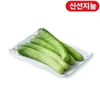 스마트팜 다다기오이 (EA)
