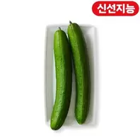 스마트팜 취청오이 (EA)
