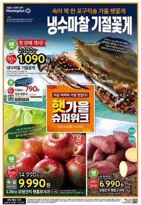 당신을 위한 최고의 제안