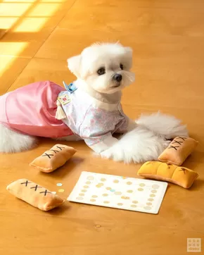 양산시의 다이소 카탈로그 | 다이소 전단지 | 2025-09-04T00:00:00.000Z - 2025-09-18T00:00:00.000Z