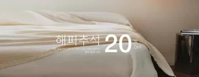 태백시의 자라홈 카탈로그 | 해피추석 20% Off | 2025-09-24T00:00:00.000Z - 2025-10-12T00:00:00.000Z