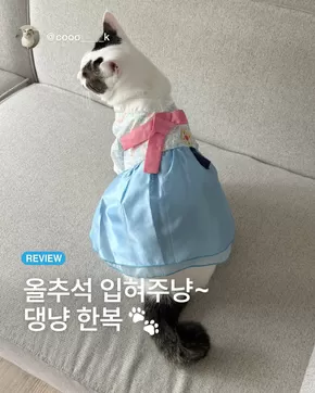 다이소 전단지