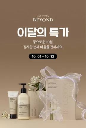태백시의 비욘드 카탈로그 | 풍요로운 10월, 감사한 분께 마음을 전하세요. | 2025-10-09T00:00:00.000Z - 2025-10-12T00:00:00.000Z