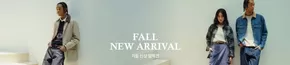 태백시의 팀버랜드 카탈로그 | Fall New Arrival 가을 신상 컬렉션 | 2025-10-10T00:00:00.000Z - 2025-10-15T00:00:00.000Z