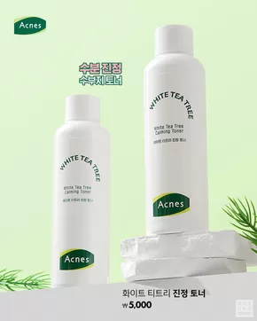 강남구의 다이소 카탈로그 | 다이소 전단지 | 2025-10-17T00:00:00.000Z - 2025-10-31T00:00:00.000Z