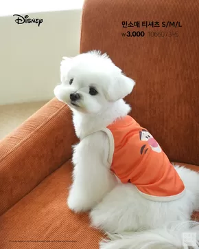 원주시의 다이소 카탈로그 | 현재 거래 및 제안 | 2025-11-04T00:00:00.000Z - 2025-11-18T00:00:00.000Z