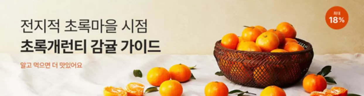 완도군의 초록마을 카탈로그 | Promotions! | 2025-11-17T00:00:00.000Z - 2025-11-21T00:00:00.000Z
