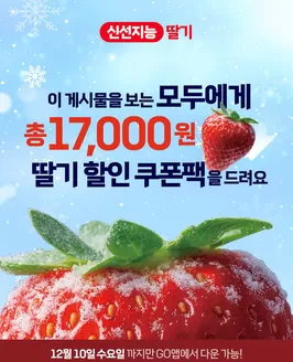 강남구의 빅마켓 카탈로그 | 올 겨울 딸기는 롯데마트로 정착! | 2025-12-12T00:00:00.000Z - 2025-12-31T00:00:00.000Z