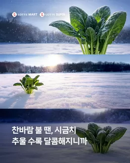 김해시의 빅마켓 카탈로그 | 제철 시금치를 만나보세요 | 2026-01-09T00:00:00.000Z - 2026-01-14T00:00:00.000Z