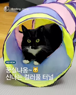 유성구의 다이소 카탈로그 | 다이소 전단지 | 2026-04-30T00:00:00.000Z - 2026-05-14T00:00:00.000Z