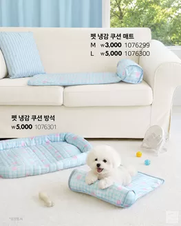 영등포구의 다이소 카탈로그 | 다이소 전단지 | 2026-05-29T00:00:00.000Z - 2026-06-12T00:00:00.000Z