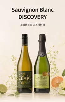 이마트 에브리데이 카탈로그 | Sauvignon Blanc DISCOVERY 소비뇽블랑 디스커버리 | 2026-06-01T00:00:00.000Z - 2026-06-30T00:00:00.000Z