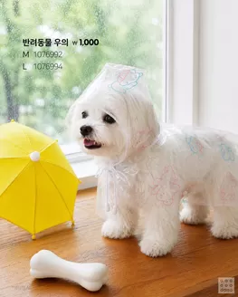 강남구의 다이소 카탈로그 | 다이소 전단지 | 2026-06-21T00:00:00.000Z - 2026-07-05T00:00:00.000Z