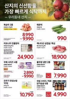 홈플러스 카탈로그 | 홈플러스 전단지 | 2026-07-16T00:00:00.000Z - 2026-07-29T00:00:00.000Z