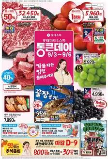 롯데마트 카탈로그 | 롯데슈퍼 전단 대상점포: 롯데슈퍼 오프라인 매장 | 2026-09-03T00:00:00.000Z - 2026-09-16T00:00:00.000Z