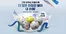 완주군의 테일러메이드 카탈로그 | 구매 금액이 커질수록 더 많은 한정판 볼이 내 손에! | 2025-10-22T00:00:00.000Z - 2025-11-13T00:00:00.000Z