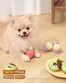 강북구의 다이소 카탈로그 | 다이소 전단지 | 2026-09-04T00:00:00.000Z - 2026-09-18T00:00:00.000Z