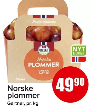 Bama - Norske plommer