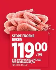 STORE FROSNE REKER