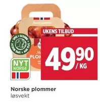 Ne - Norske plommer