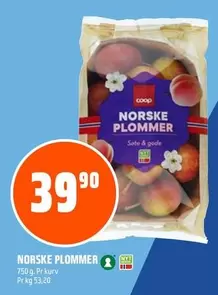 NORSKE PLOMMER
