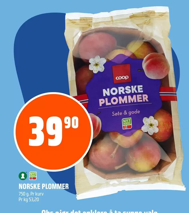 NORSKE PLOMMER