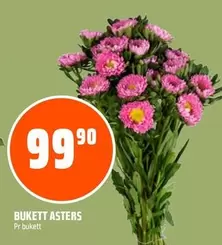 BUKETT ASTERS