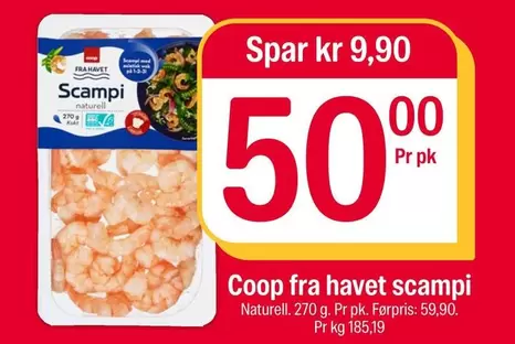 Scampi