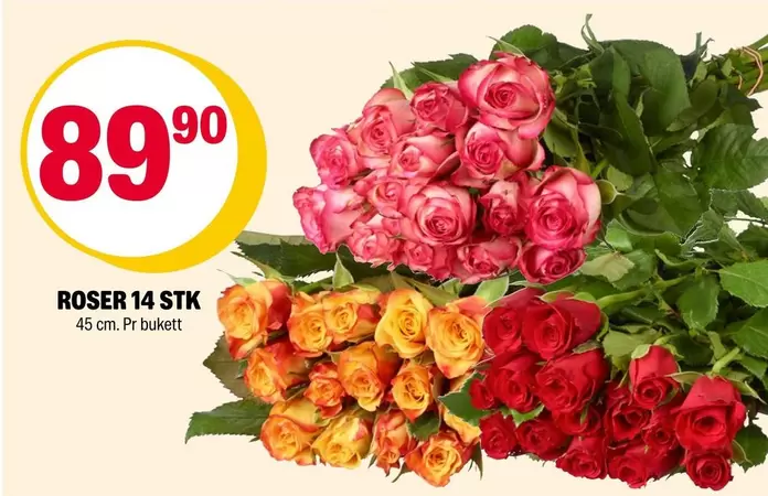 Roser - ROSER 14 STK