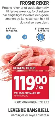 No - FROSNE REKER