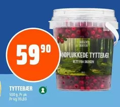 TYTTEBÆR