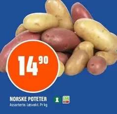 NORSKE POTETER