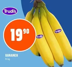 BANANER