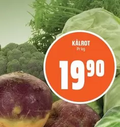 KÅLROT