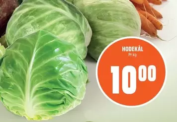 Hodekål
