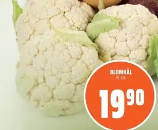 Blomkål