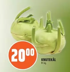 KNUTEKÅL